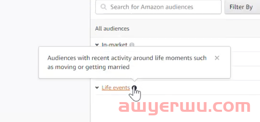 如何使用亚马逊新的展示型推广受众 第3张 如何使用亚马逊新的展示型推广受众 第3张