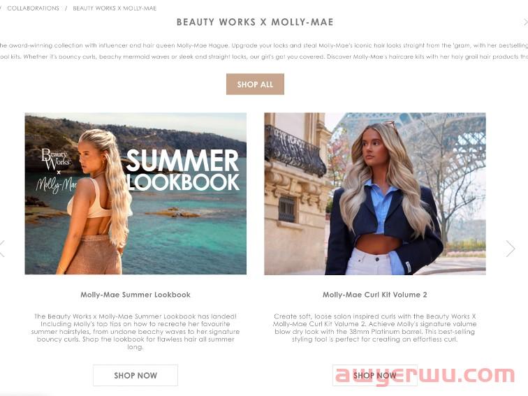 如何不花钱靠KOL引爆独立站自然流量？ 第4张