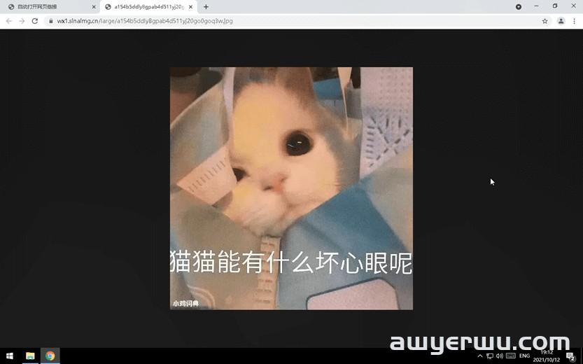 痛斥微博抄袭的小鸡词典，关停了... 第13张