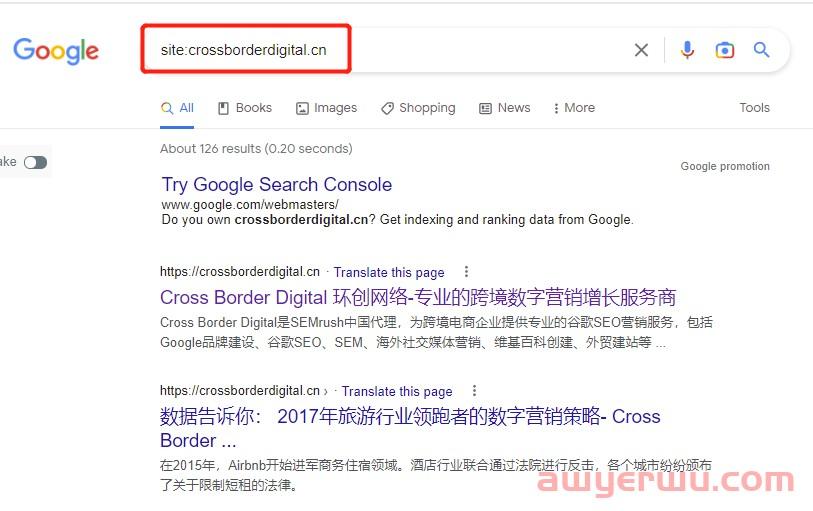 独立站不被谷歌收录的原因有哪些？ 第1张