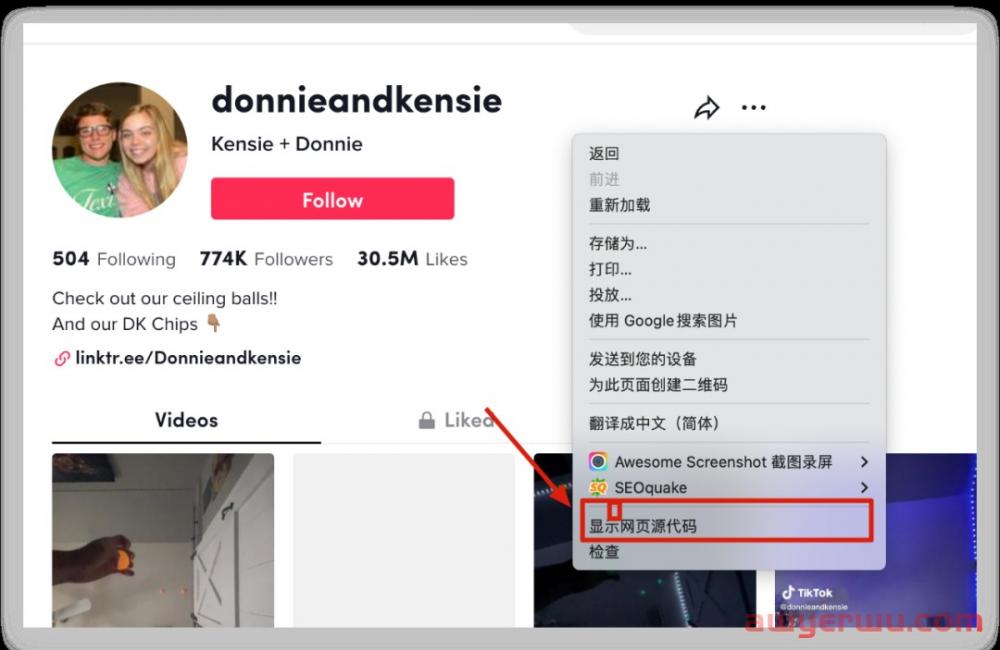 小偏方:通过源代码查看TikTok账号归属国家 第3张 小偏方:通过源代码查看TikTok账号归属国家 第3张