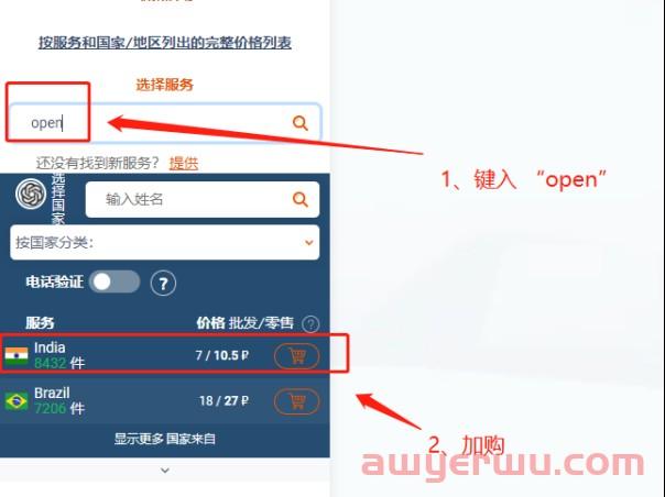 最近大火的ChatGPT，手把手教你怎么注册！ 第10张