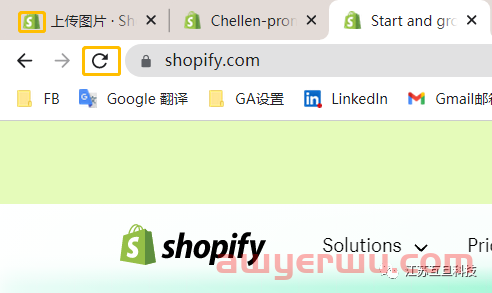 速看|最全Shopify网站图标上传步骤 第11张