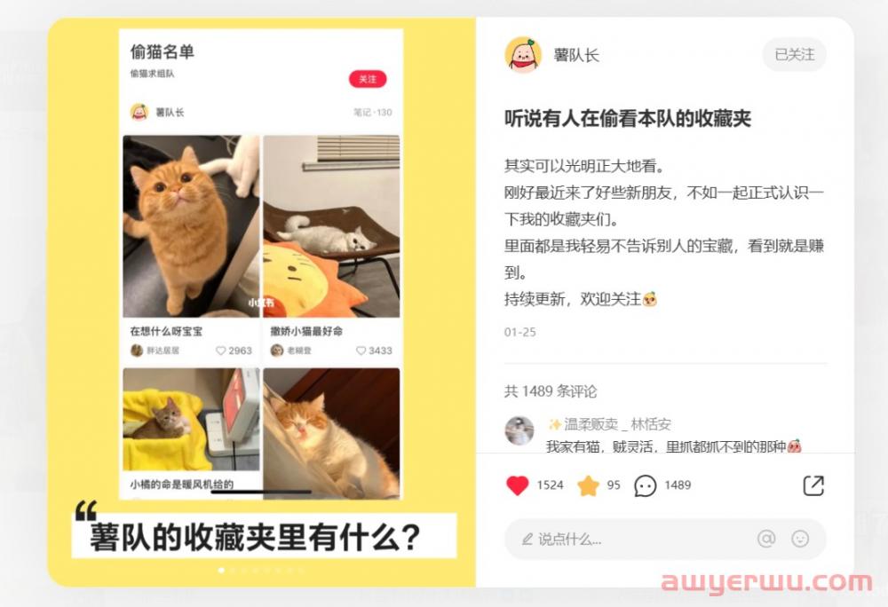 小红书网页版上线!为啥要增加网页版入口? 第5张