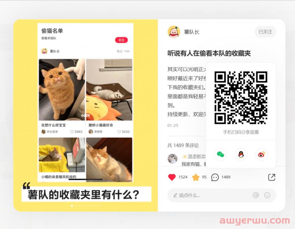 小红书网页版上线!为啥要增加网页版入口? 第6张