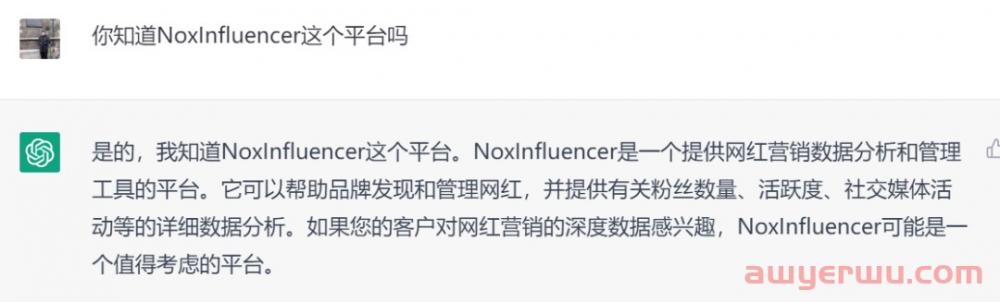 对话ChatGPT：ChatGPT是否能够取代海外网红营销人员 第2张