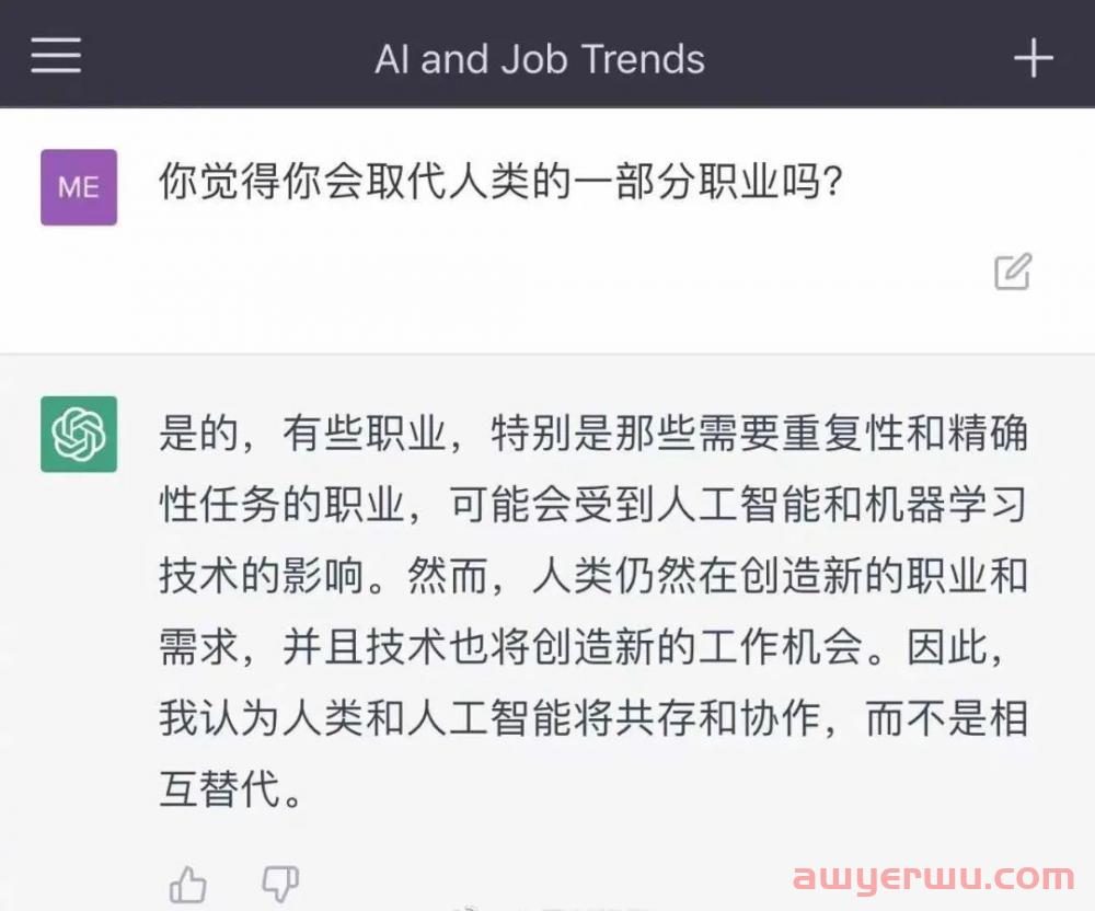 ChatGPT：互联网炒作下的集体癫狂？跨境打工人别慌！ 第4张