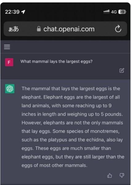一文了解爆火的ChatGPT！出海企业如何借助ChatGPT「狂飙」 第6张
