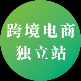 Shopify SEO初学者完整指南：Shopify跨境电商独立站SEO搜索引擎优化教程 第16张
