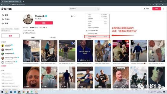 三步教你TikTok账号查询归属国家信息 第3张