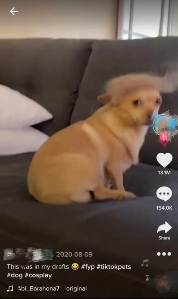 教你如何解决国际版抖音TikTok的网络IP问题！ 第7张