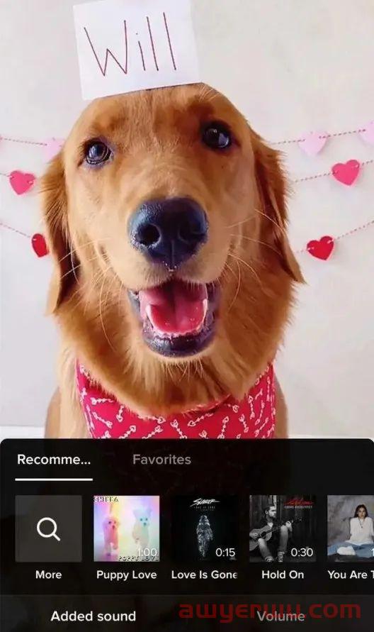 教你如何解决国际版抖音TikTok的网络IP问题！ 第9张