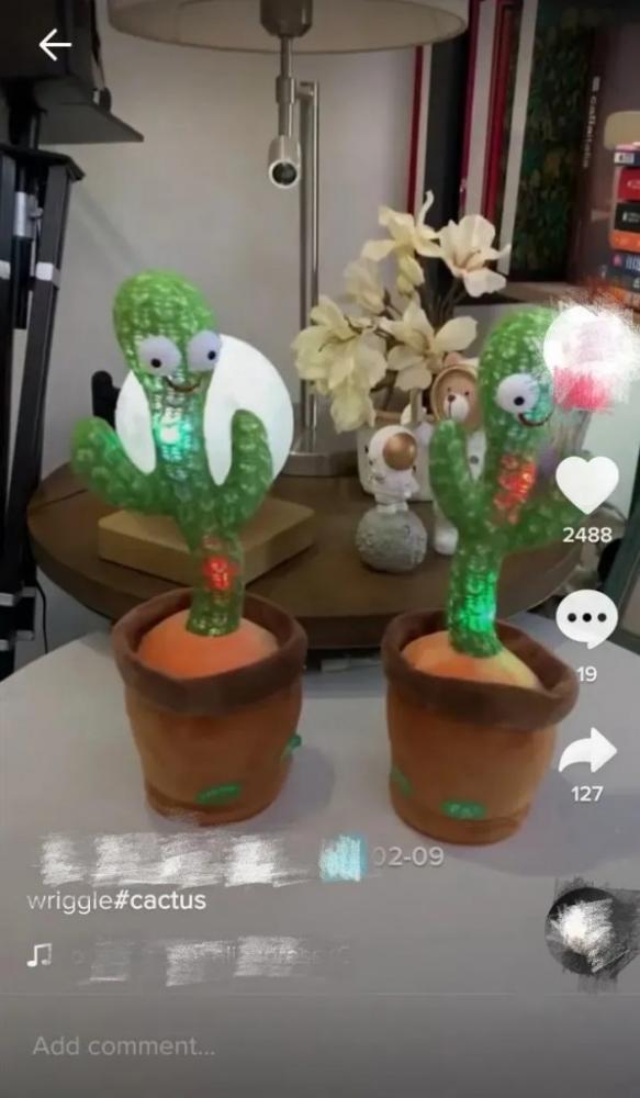 教你如何解决国际版抖音TikTok的网络IP问题！ 第10张