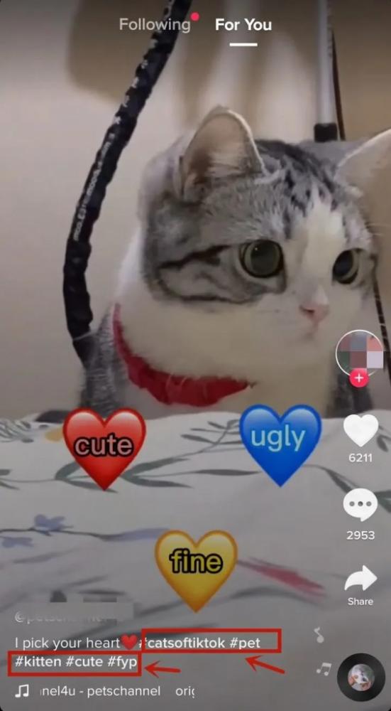 教你如何解决国际版抖音TikTok的网络IP问题！ 第11张