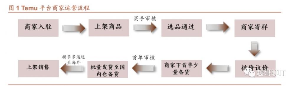 拼多多海外版Temu商业模式如何?有哪些优势和挑战 第2张