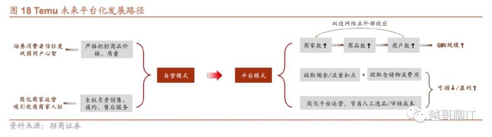 拼多多海外版Temu商业模式如何?有哪些优势和挑战 第14张