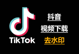 教你如何解决国际版抖音TikTok的网络IP问题! 第6张 教你如何解决国际版抖音TikTok的网络IP问题! 第6张
