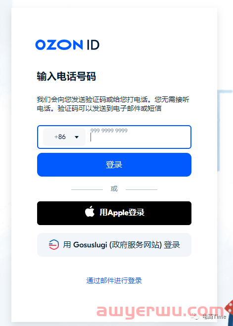 保姆级教程，OZON平台店铺注册流程详解 第2张