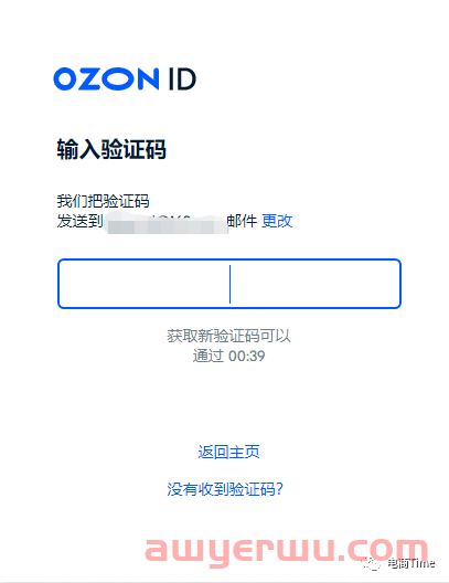 保姆级教程，OZON平台店铺注册流程详解 第3张