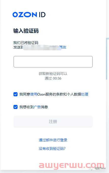 保姆级教程，OZON平台店铺注册流程详解 第4张