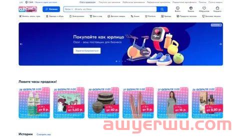 OZON是什么平台?OZON物流怎么发货? 第1张