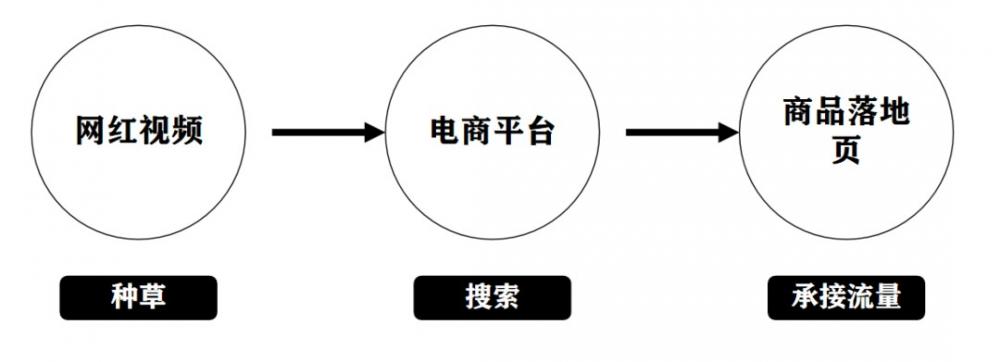 TikTok网红种草的4大转化路径 第2张
