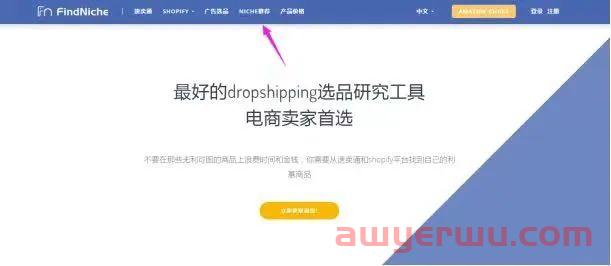 Etsy选品工具，祝你成就爆品 第9张