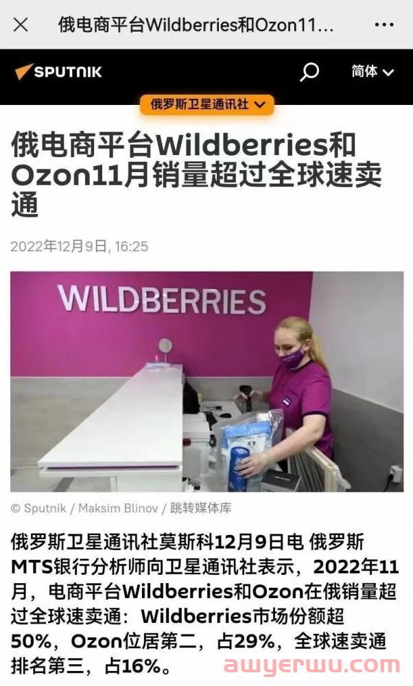 今日俄罗斯电商，能否成为跨境电商的新大陆？ 第2张