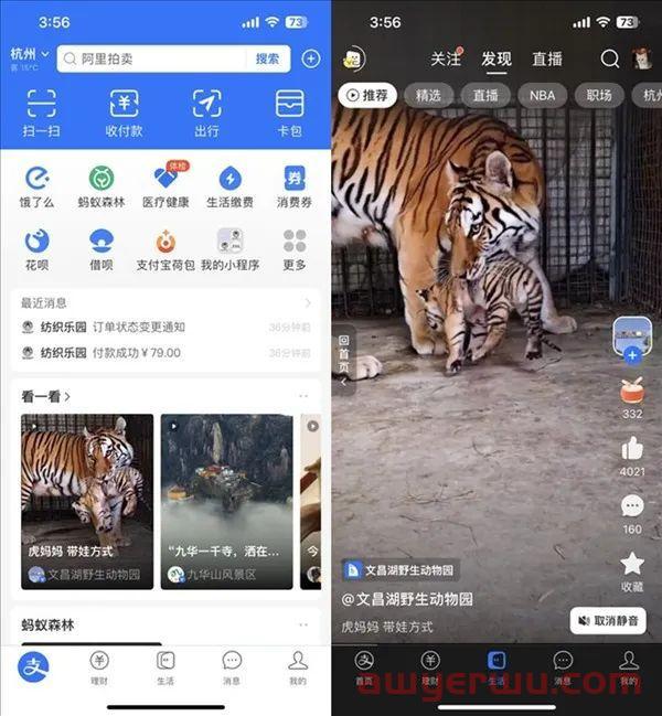 支付宝搞了个小“抖音”，网友：花里胡哨 第1张