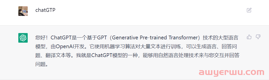 ChatGPT注册使用攻略——保姆级教程(国内中文版) 第1张