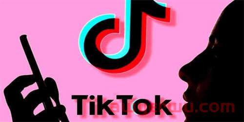 TikTok Shop东南亚海外仓上线 第1张