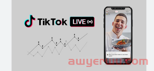 TikTok直播带货底层逻辑 第1张