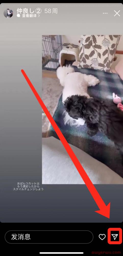 2023最新Instagram图片批量下载方法 第5张