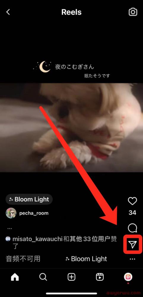 2023最新Instagram图片批量下载方法 第7张