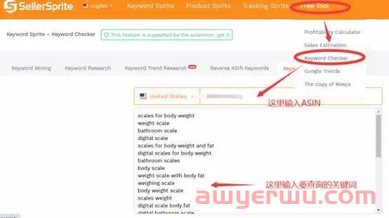 亚马逊精品运营之广告策略(卖家精灵版本) 第2张 亚马逊精品运营之广告策略(卖家精灵版本) 第2张