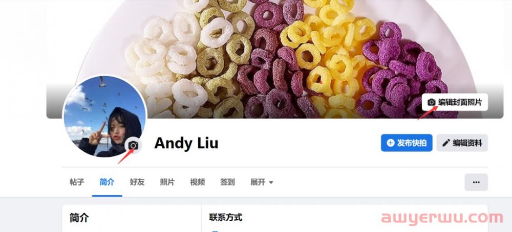 怎么在国内使用facebook\Facebook注册方法及使用指南 第2张