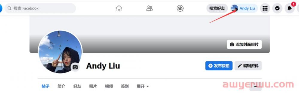 怎么在国内使用facebook\Facebook注册方法及使用指南 第3张