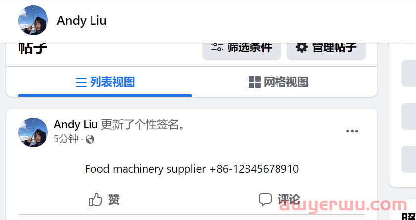 怎么在国内使用facebook\Facebook注册方法及使用指南 第13张