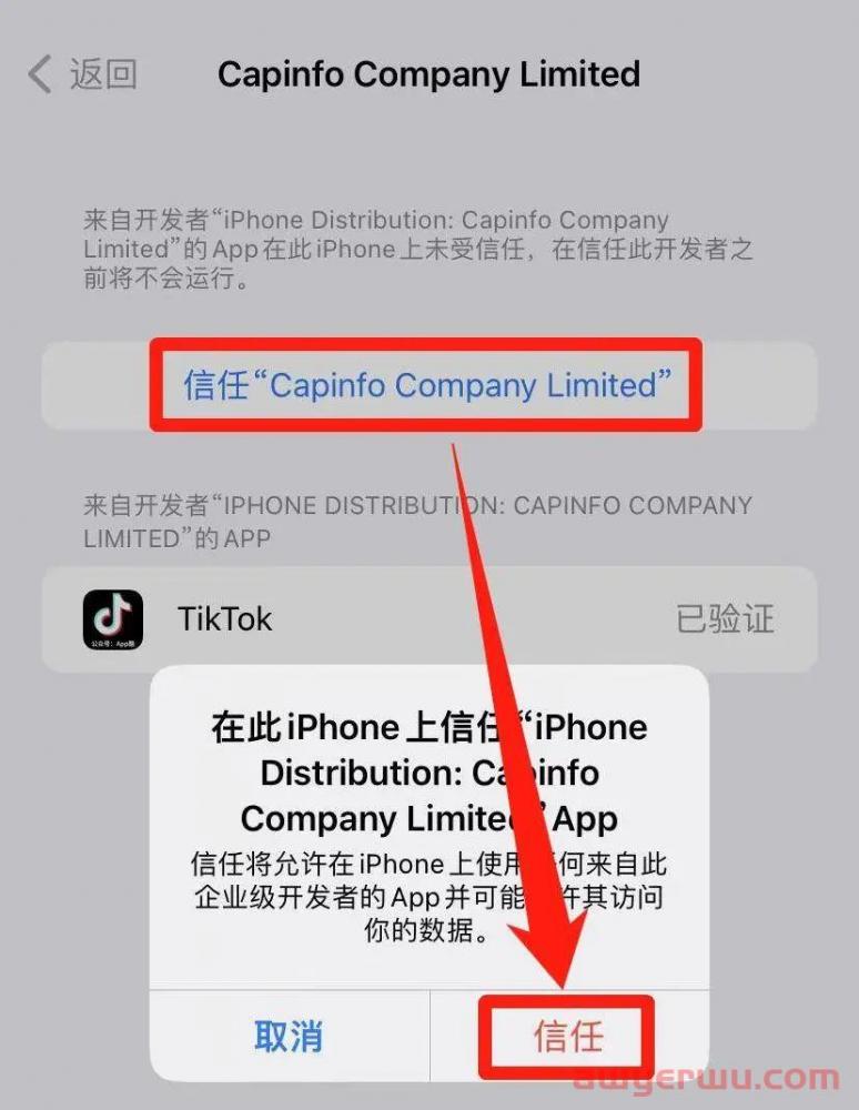 TikTok在线安装 |TikTok国际版不拔卡如何下载( iOS苹果版) 第6张
