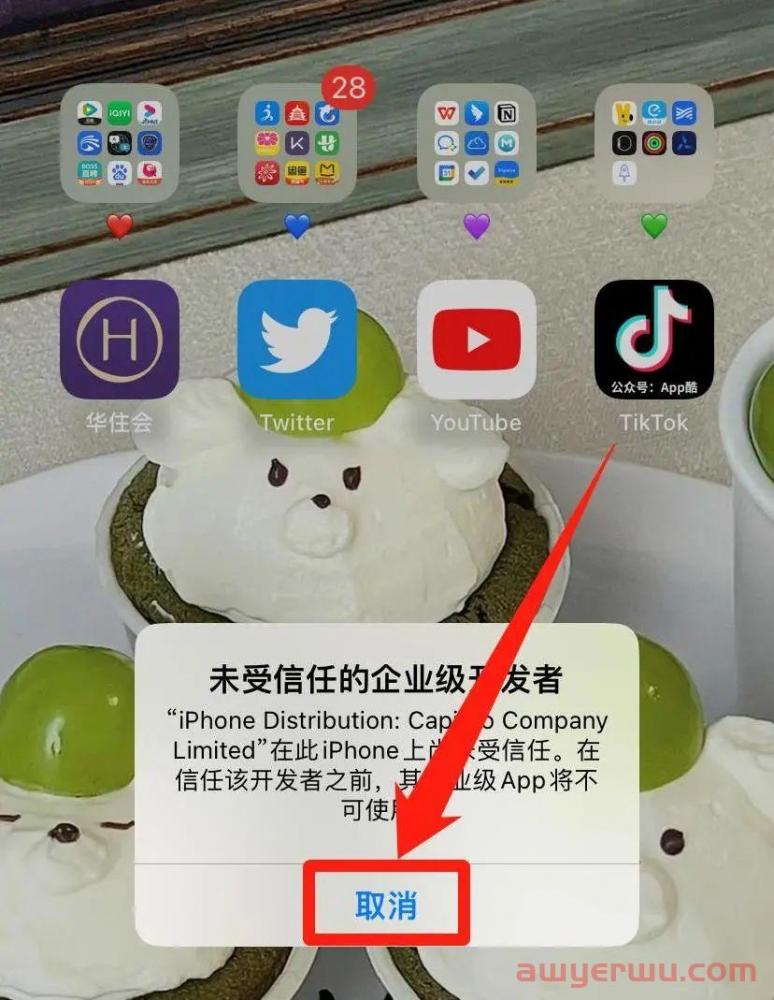 TikTok在线安装 |TikTok国际版不拔卡如何下载( iOS苹果版) 第5张