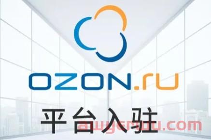 俄罗斯的OZON到底是一个什么样的平台？中国卖家入驻OZON需要哪些材料? 第2张