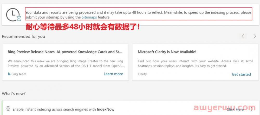 ChatGPT火了，Bing SEO和广告赶紧搞起来！ 第8张