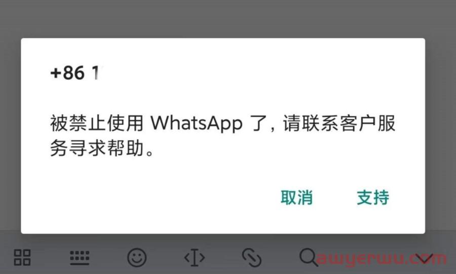 WhatsApp2023年最全攻略，建议收藏！ 第1张