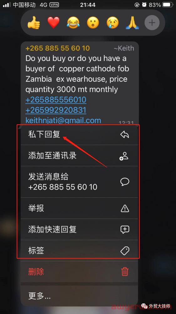 最全WhatsApp那些事儿（外贸触达率最高的工具操作指南） 第12张