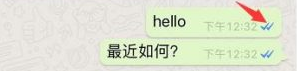 WhatsApp详细获客教程，订单接到手软~ 第5张