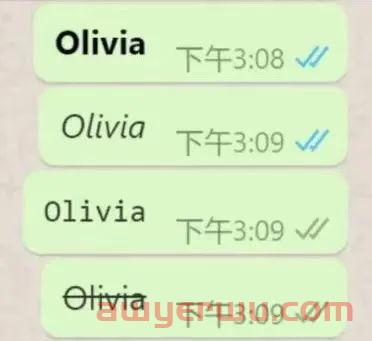 WhatsApp详细获客教程，订单接到手软~ 第9张