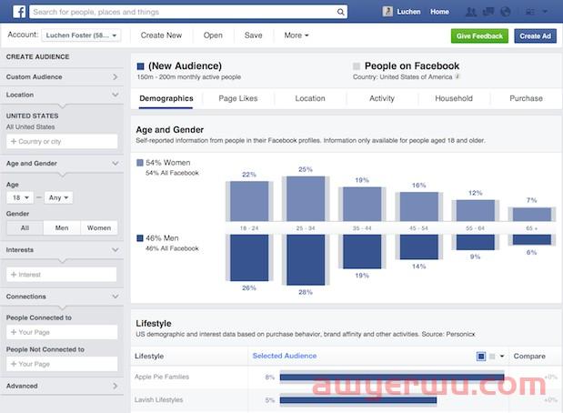 如何使用 Facebook受众成效分析实现更好的定位 第5张