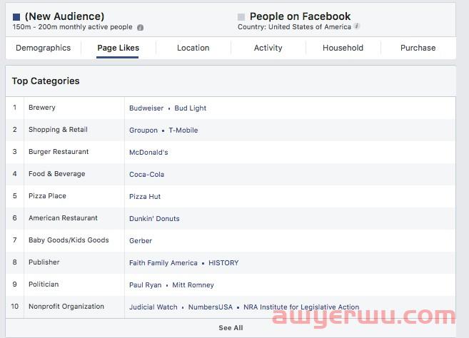 如何使用 Facebook受众成效分析实现更好的定位 第8张