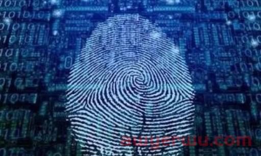 指纹浏览器和虚拟机哪个好用?那个更适合? 第1张 指纹浏览器和虚拟机哪个好用?那个更适合? 第1张