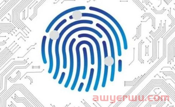 巨象指纹浏览器与紫鸟浏览器各有什么差别?哪家比较不错? 第1张